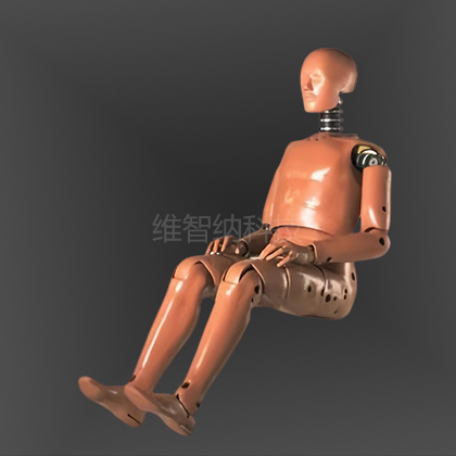 WZN-2009  50百分位假人