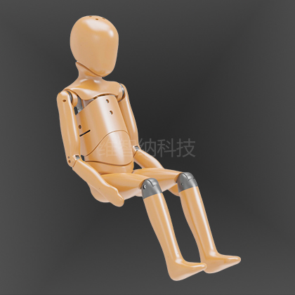 WZN-2006  Q6假人